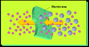 Basic principle of membrane separation